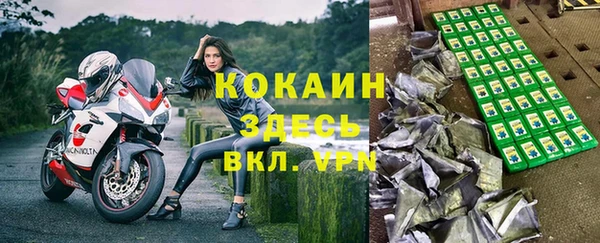 тгк Краснослободск