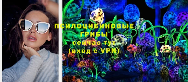тгк Краснослободск