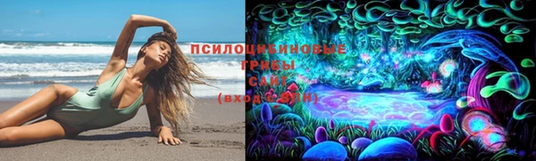 тгк Краснослободск